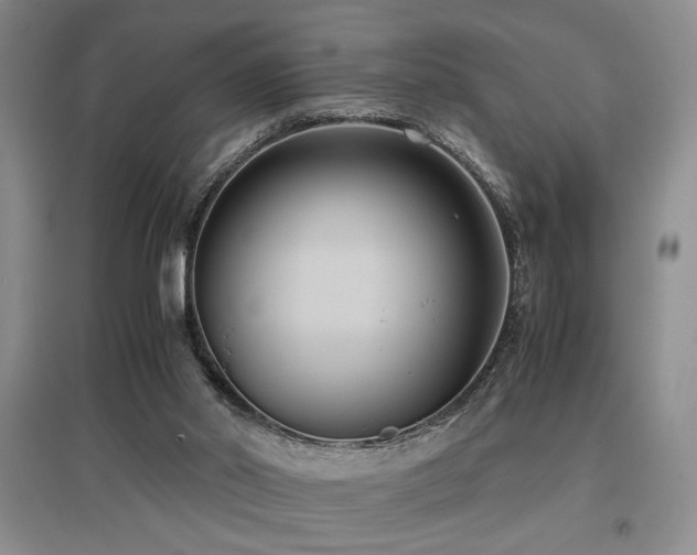 X0000097660014200802291437