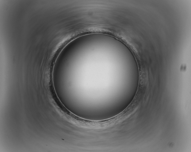 X0000097660015200802291437