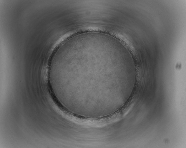X0000097660016200802291437