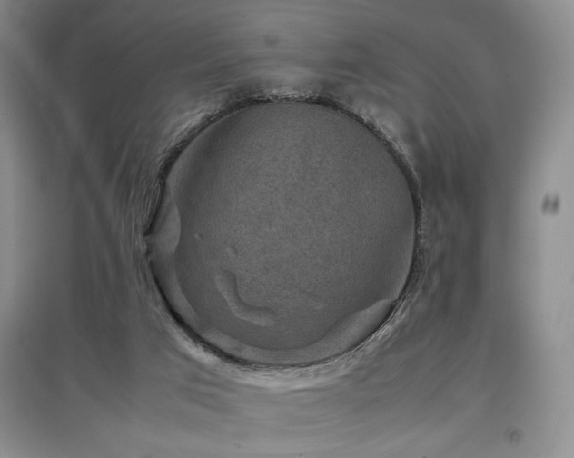 X0000097660017200802291437