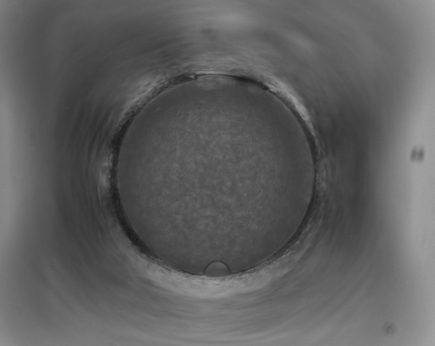 X0000097660018200802291437
