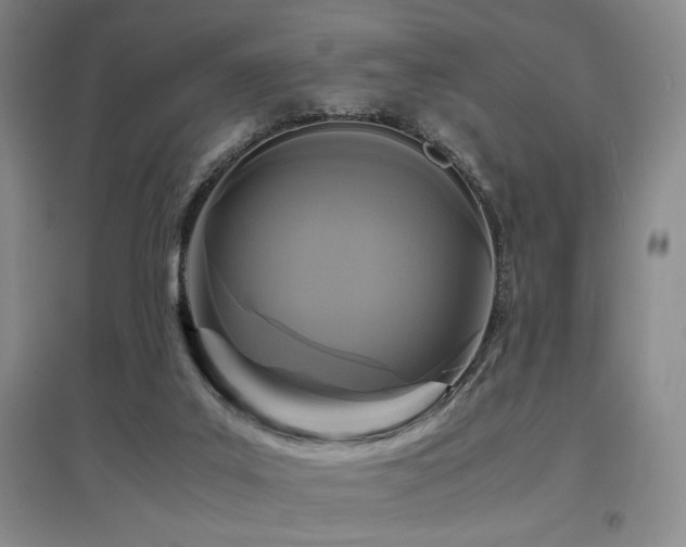 X0000097660019200802291437