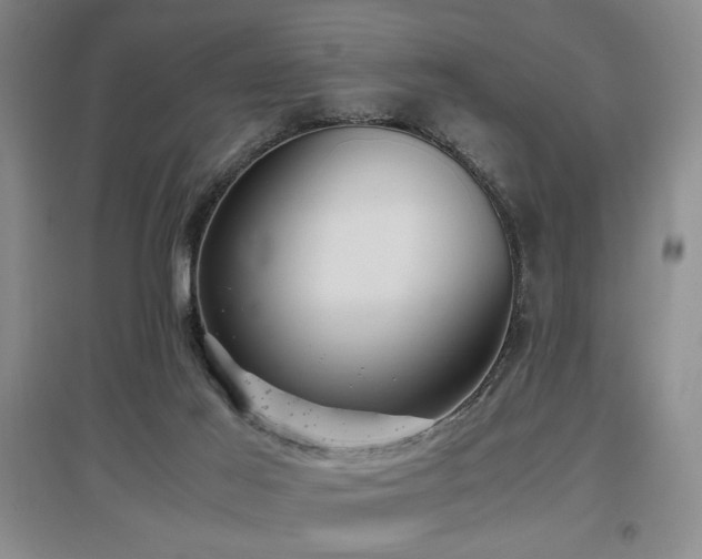 X0000097660021200802291437