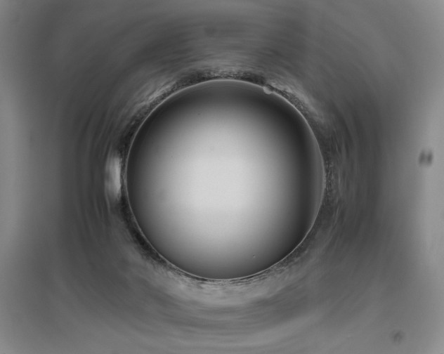 X0000097660022200802291437
