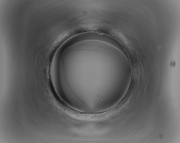 X0000097660023200802291437