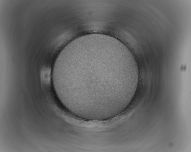 X0000097660024200802291437