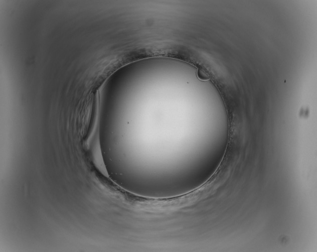 X0000097660025200802291437