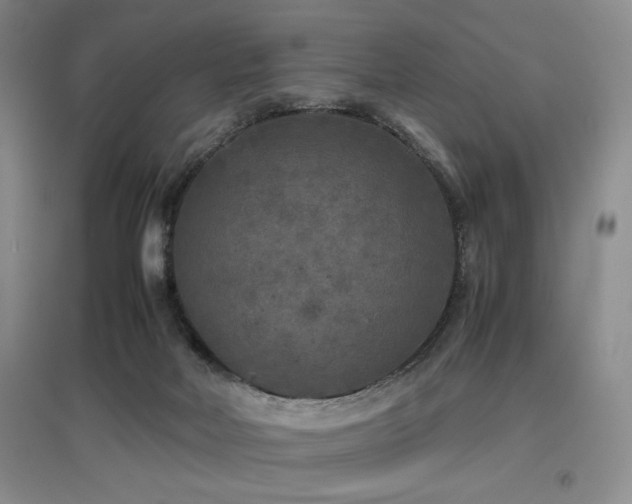 X0000097660026200802291437