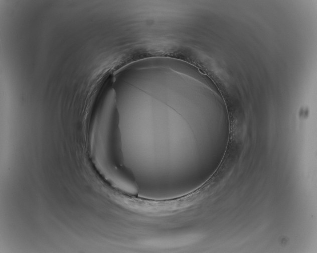 X0000097660027200802291437