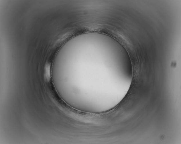 X0000097660028200802291437