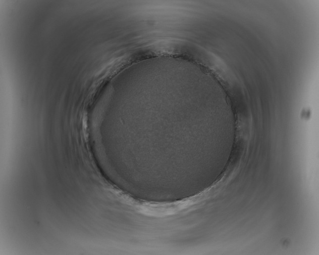 X0000097660029200802291437