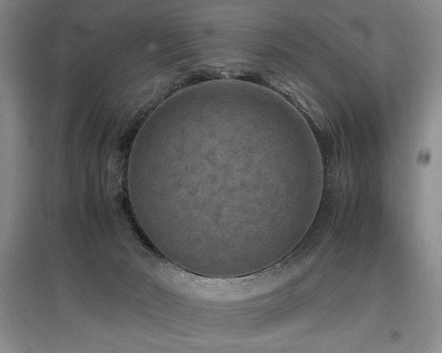 X0000097660030200802291437