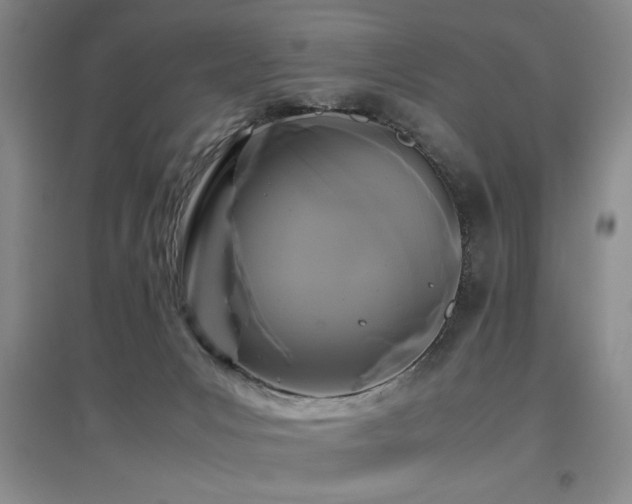 X0000097660031200802291437