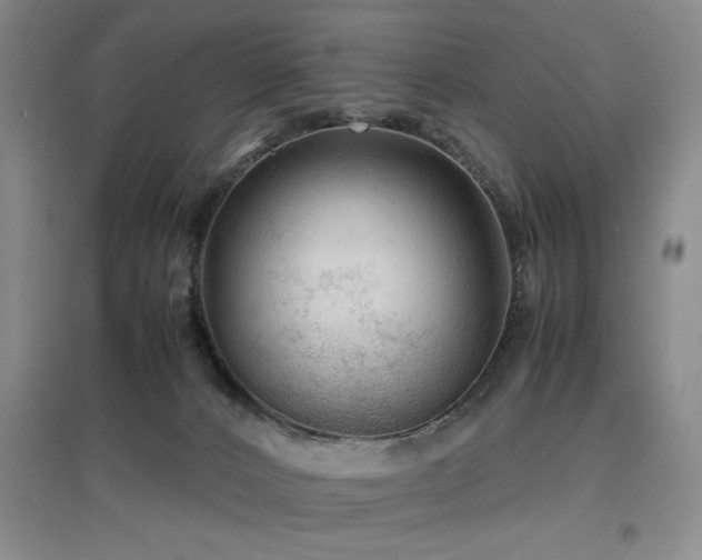 X0000097660032200802291437