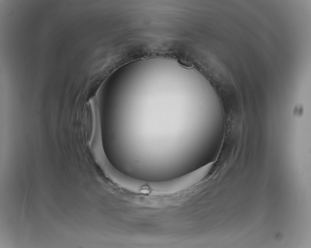 X0000097660033200802291437