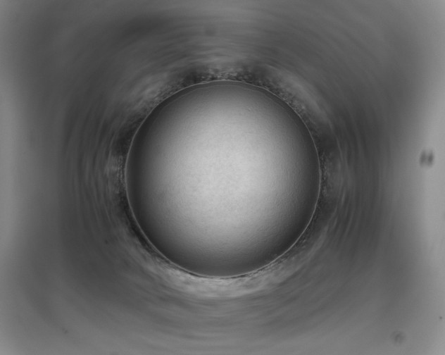 X0000097660034200802291437