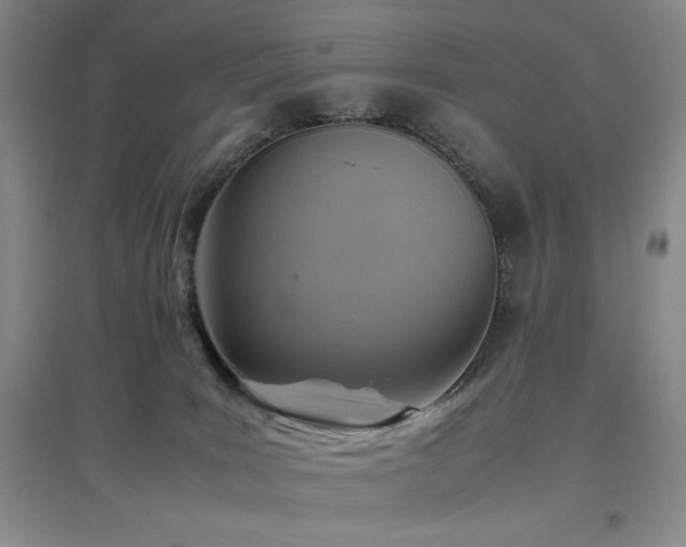 X0000097660035200802291437