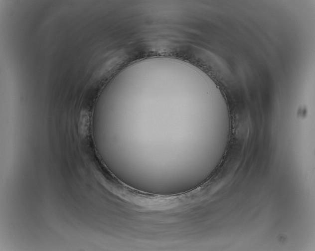 X0000097660036200802291437