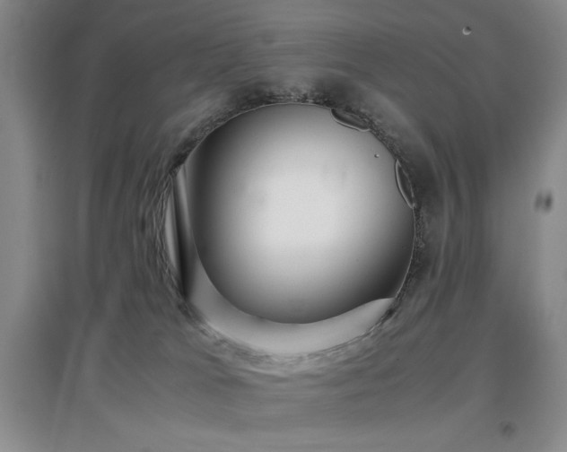 X0000097660037200802291437