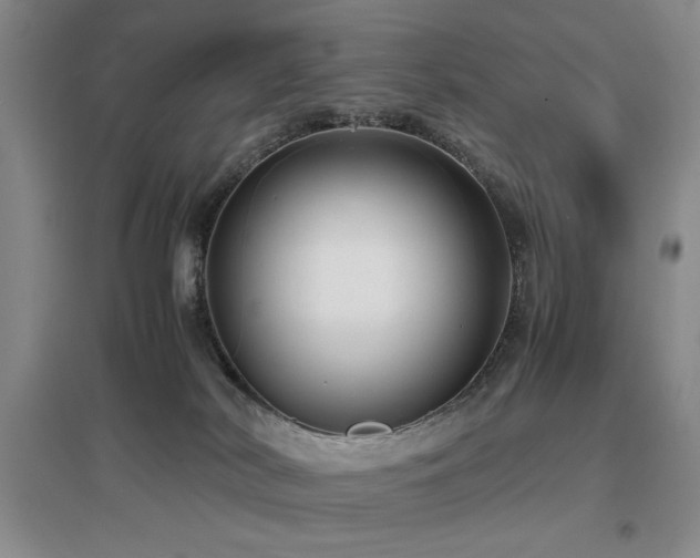 X0000097660038200802291437