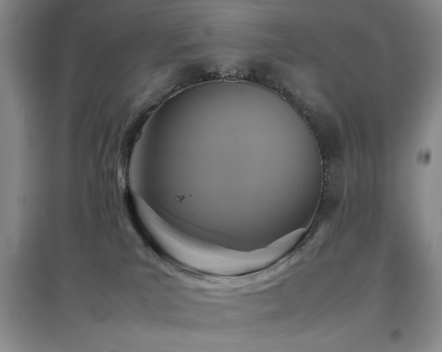 X0000097660039200802291437