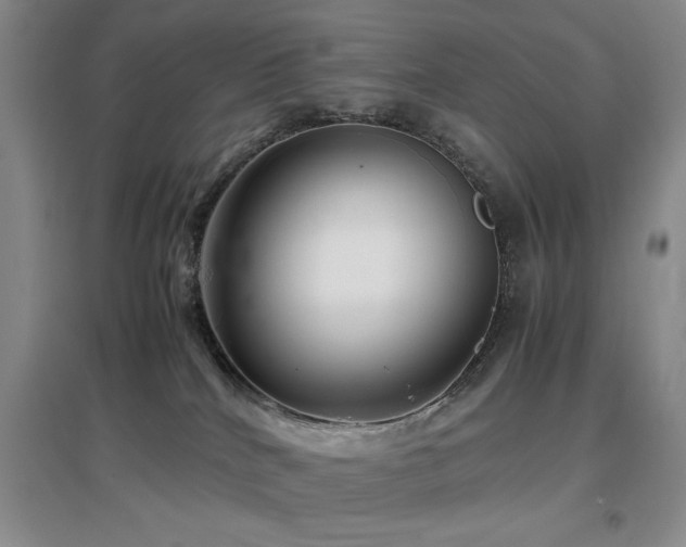 X0000097660040200802291437