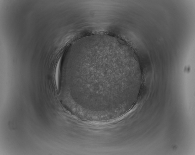X0000097660041200802291437
