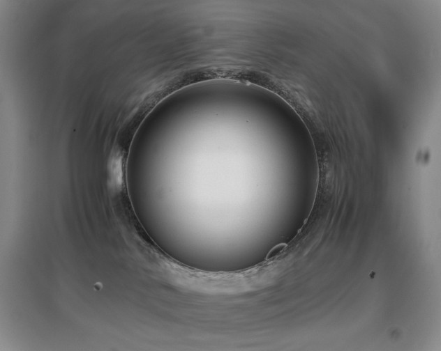 X0000097660042200802291437
