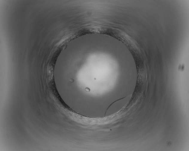 X0000097660043200802291437