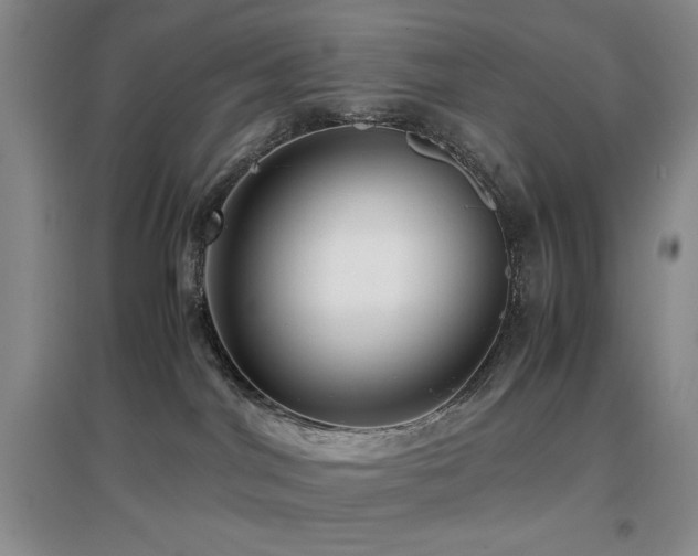 X0000097660044200802291437