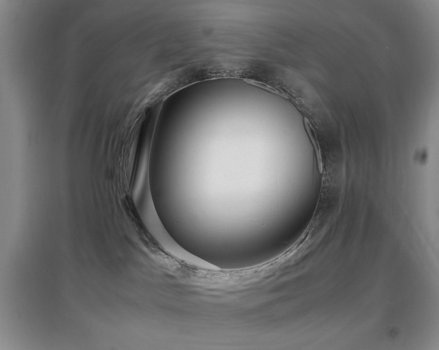 X0000097660045200802291437