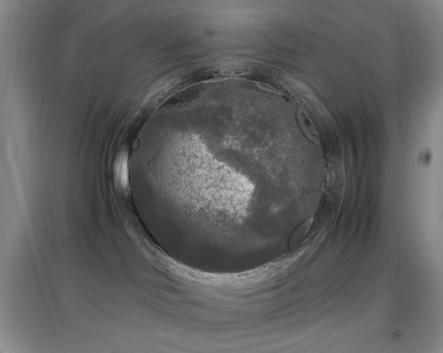 X0000097660046200802291437