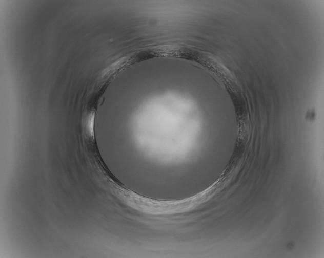 X0000097660047200802291437