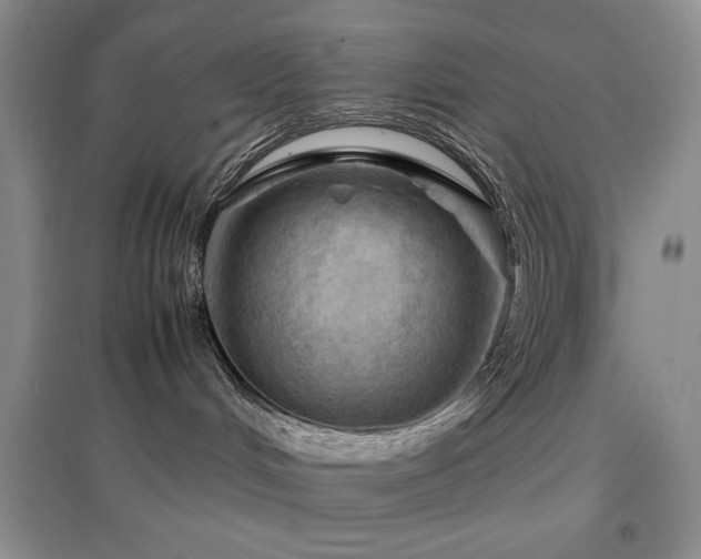 X0000097660048200802291437