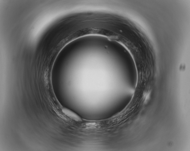 X0000097660050200802291436