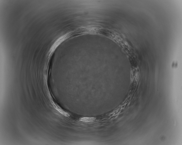 X0000097660051200802291436