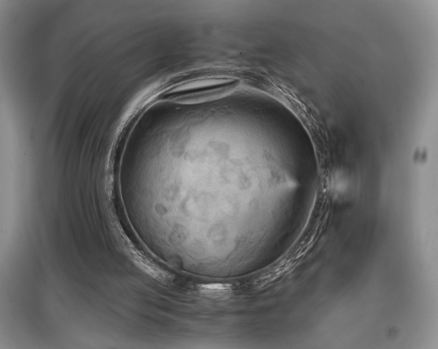 X0000097660053200802291436