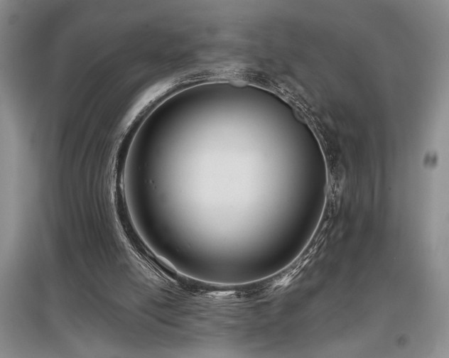 X0000097660054200802291436