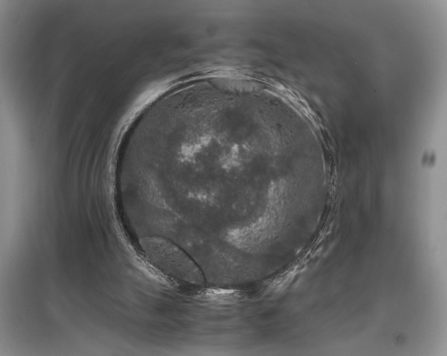 X0000097660055200802291436