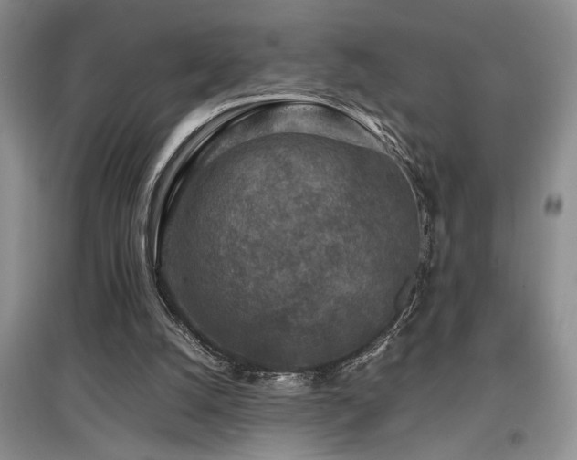 X0000097660056200802291436