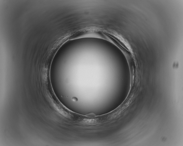 X0000097660057200802291436