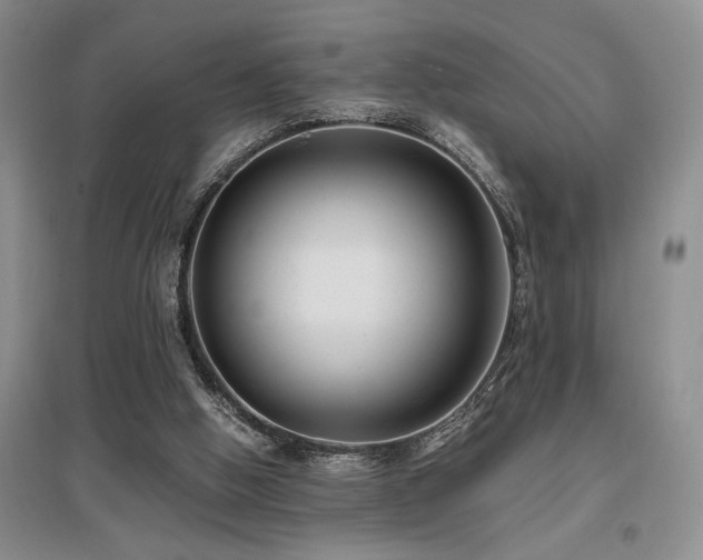 X0000097660058200802291436