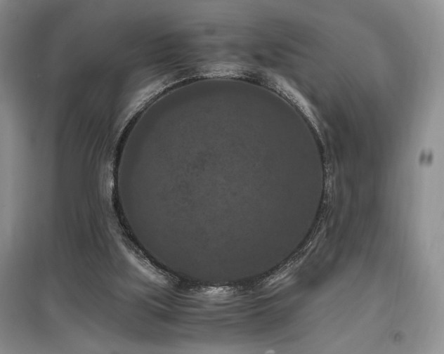 X0000097660059200802291436