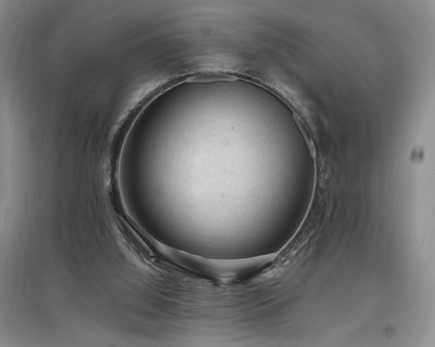 X0000097660060200802291436