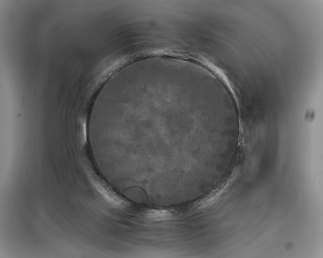 X0000097660061200802291436