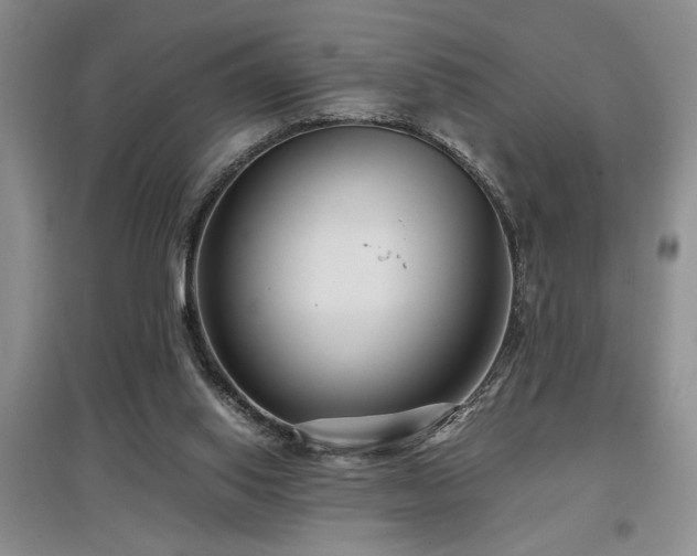 X0000097660062200802291436
