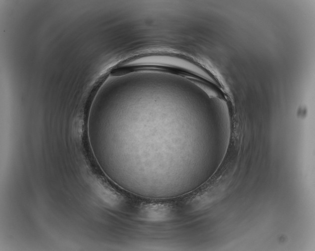 X0000097660063200802291436