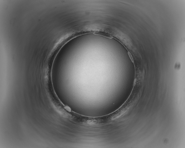X0000097660064200802291436