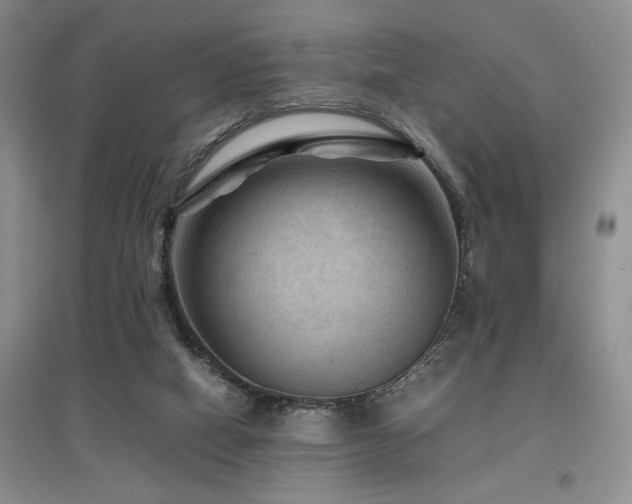 X0000097660066200802291436