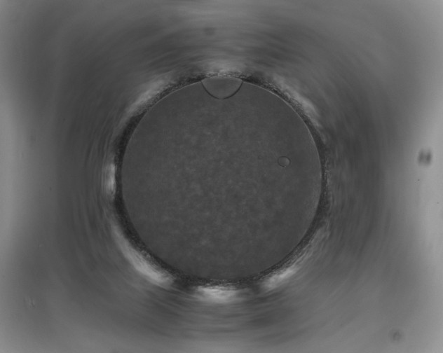X0000097660067200802291436